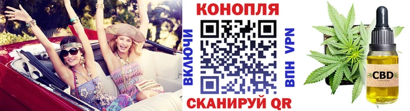 Канабис сатива  Купить закладки  Кострома 